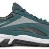 Zapatillas running Intersport Reebok Shoes GORE-TEX Ridgerider Gtx blue