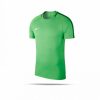 Intersport Nike Academy 18 Training Top short sleeve (893693)(893693-361) green Camisetas de fútbol