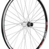 Intersport Gurpil Zac Inox (26) 7s Tubeless Mtb Rear Wheel black 9 x 135 mm / Shimano/Sram HG Ruedas de bicicleta