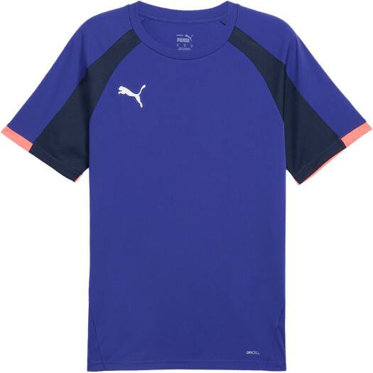 Camisetas de fútbol Intersport Puma Individual League jersey (487868) blue