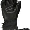 Ropa de esquí Intersport Scott Ultimate Premium GTX Glove Women black