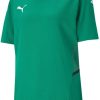 Camisetas de fútbol Intersport Puma Team Cup JR Jersey (704387)(704387-05) green