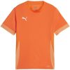 Intersport Puma teamGOAL Matchday Trikot KidsOrange Weiss F08 Camisetas de fútbol