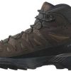 Intersport Salomon X Ultra 360 Leather Gore-Tex dark earth/delicioso/castlerock Calzado de montaña