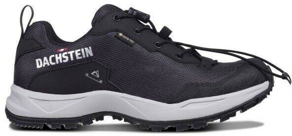 Calzado de montaña Intersport Dachstein Delta Ascent GTX Multisport Shoes grey