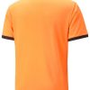 Intersport Puma Teamliga jersey (704917)(704917-50) Orange Camisetas de fútbol