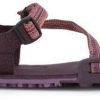 Intersport Xero Shoes EU Z-Trail EV barefoot shoes purple Zapatillas running