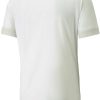 Intersport Puma Team final jersey (705016)(705016-04) beige/white Camisetas de fútbol