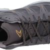 Intersport Lowa Innox Evo II GTX (311416)anthracite/bronze gris Calzado de montaña