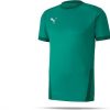 Intersport Puma teamGOAL 23 Shirt short sleeve Youth (704160)(704160-005) green Camisetas de fútbol