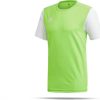 Camisetas de fútbol Intersport Adidas Estro 19 Shirt short sleeve (DP32)(DP3240) green