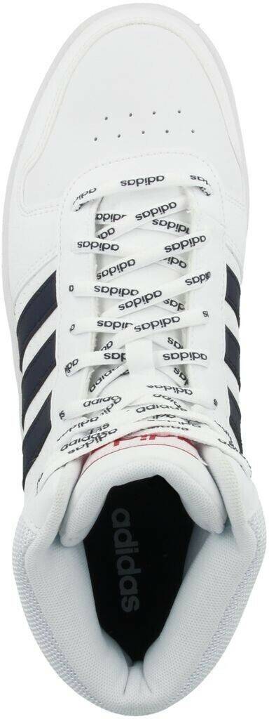 Intersport Adidas Basketball Mid Sneaker Hoops 2 white Zapatillas de baloncesto