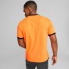 Intersport Puma Teamliga jersey (704917)(704917-50) Orange Camisetas de fútbol