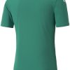 Camisetas de fútbol Intersport Puma Teamglory Jersey (705017)(705017-05) green