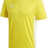 Intersport Adidas Entrada 18 Shirt short sleeve (CD83)(CD8390) yellow Camisetas de fútbol