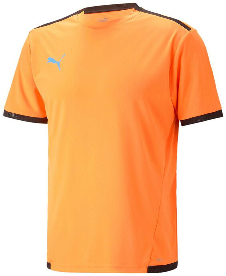 Intersport Puma Teamliga jersey (704917)(704917-50) Orange Camisetas de fútbol