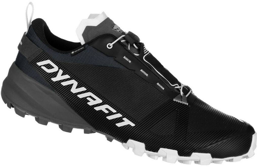 Calzado de montaña Intersport Dynafit Traverse GTX Running Shoe grey