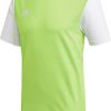 Camisetas de fútbol Intersport Adidas Estro 19 Shirt short sleeve (DP32)(DP3240) green