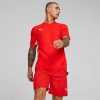 Intersport Puma Teamcup jersey (705370)(705370-01) red Camisetas de fútbol