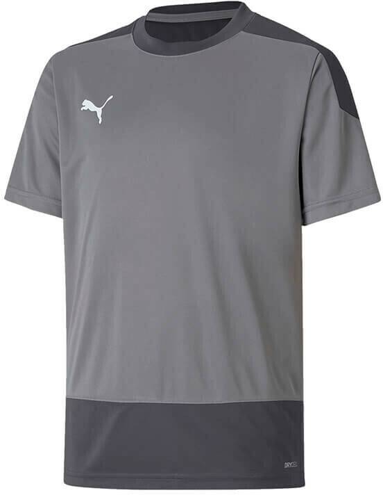 Intersport Puma teamGOAL 23 Training Shirt Youth (656569)(656569-013) grey Camisetas de fútbol