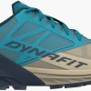 Zapatillas running Intersport Dynafit Alpine Trail Running Shoes blue