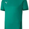 Intersport Puma teamGOAL 23 Shirt short sleeve Youth (704160)(704160-005) green Camisetas de fútbol