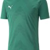 Camisetas de fútbol Intersport Puma Teamglory Jersey (705017)(705017-05) green