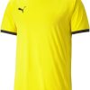 Camisetas de fútbol Intersport Puma Teamliga jersey (704917)(704917-07) yellow