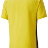 Intersport Puma Teamcup jersey (705370)(705370-07) yellow Camisetas de fútbol