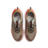 Intersport Nike Pegasus Trail Running Shoe brown Zapatillas running