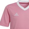 Intersport Adidas Entrada 22 KidsHC5055 Camisetas de fútbol