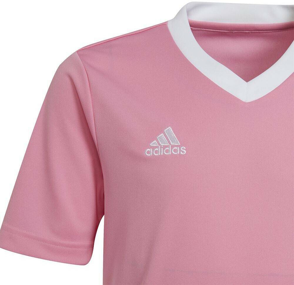 Intersport Adidas Entrada 22 KidsHC5055 Camisetas de fútbol