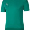 Camisetas de fútbol Intersport Puma teamGOAL 23 Training Shirt (656482)(656482-005) green