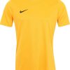 Camisetas de fútbol Intersport Nike Park VI Jerseyuniversity gold/black