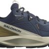 Calzado de montaña Intersport Salomon Elixir GTX Hiking Shoesblue nights/almond milk/gothic olive azul