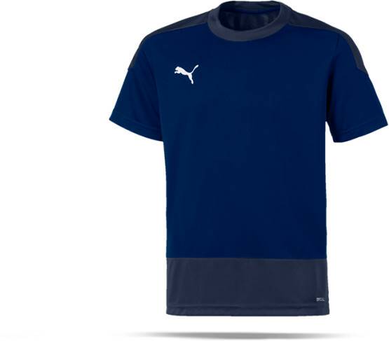 Intersport Puma teamGOAL 23 Training Shirt Youth (656569)(656569-006) blue Camisetas de fútbol