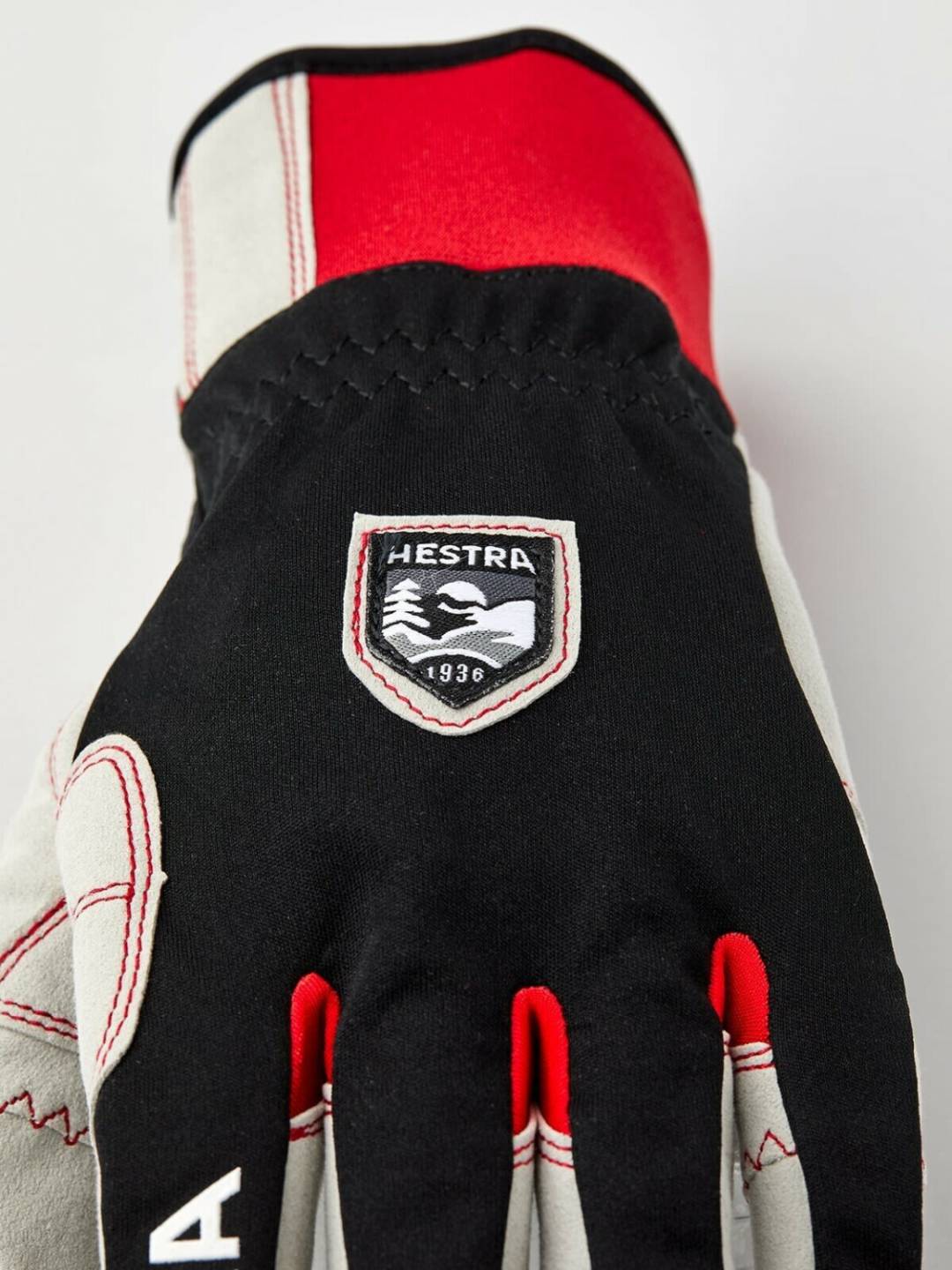 Ropa de esquí Intersport Hestra Ergo Grip Windstopper Race 5-Fingerblack