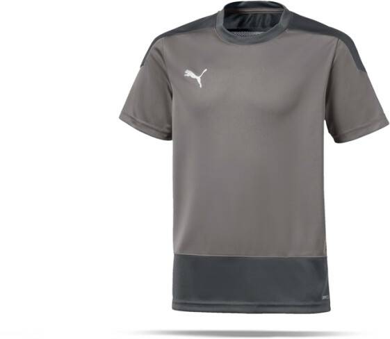 Intersport Puma teamGOAL 23 Training Shirt Youth (656569)(656569-013) grey Camisetas de fútbol