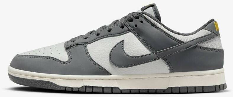 Zapatillas de baloncesto Intersport Nike Dunk Low Next Nature Men's Shoe grey