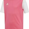 Camisetas de fútbol Intersport Adidas Estro 19 KidsDP3228