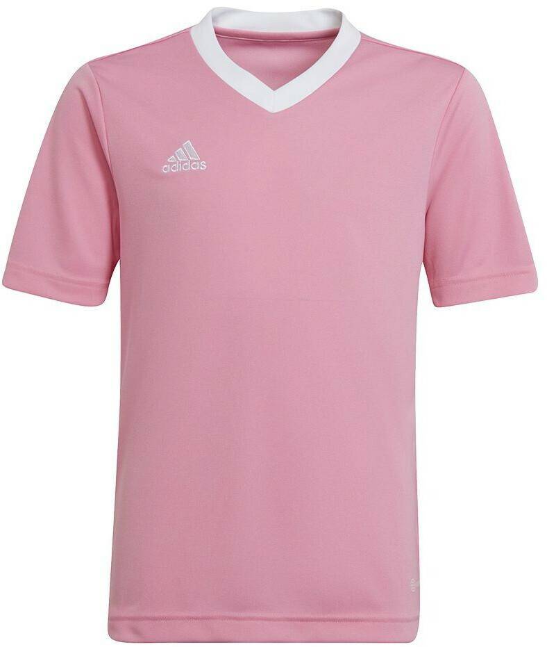 Intersport Adidas Entrada 22 KidsHC5055 Camisetas de fútbol