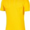 Intersport Nike Park VII Shirt short sleeve (BV6708)(BV6708-719) yellow Camisetas de fútbol