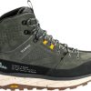 Intersport Jack Wolfskin Terraquest Texapore Mid (4056381)gecko green verde Calzado de montaña